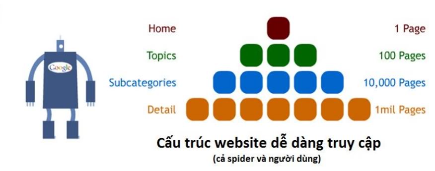 Cấu trúc website