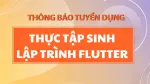 /tuyen-thuc-tap-lap-trinh-flutter-wj6743.html