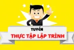 /tuyen-thuc-tap-sinh-php-php-intern-wj6847.html